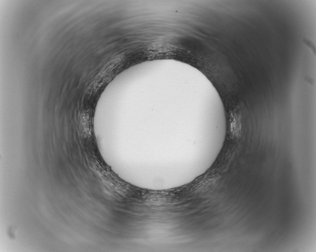 X0000103930819200810031257