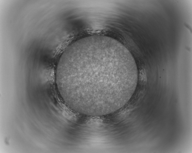 X0000103930820200810031257