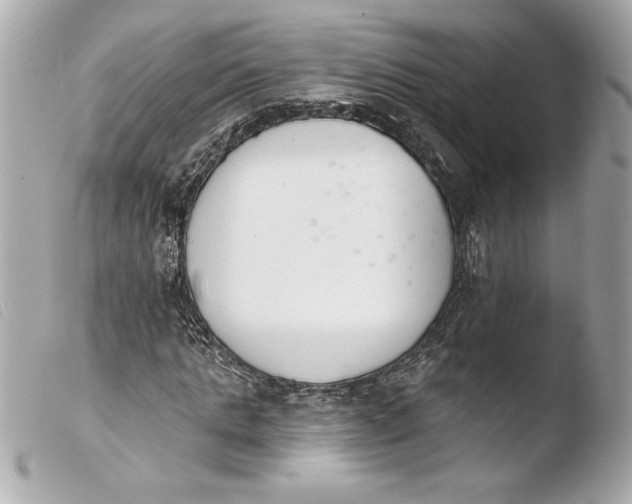 X0000103930821200810031257