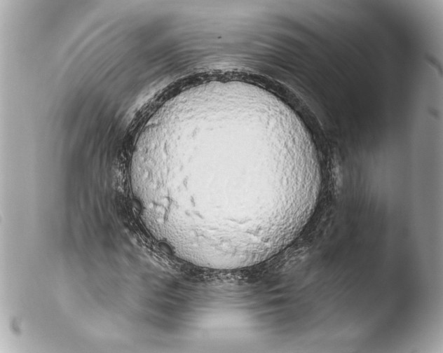 X0000103930823200810031257