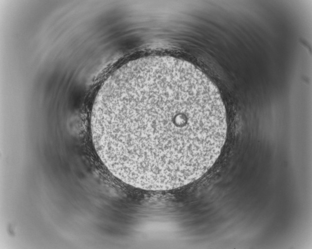 X0000103930824200810031257