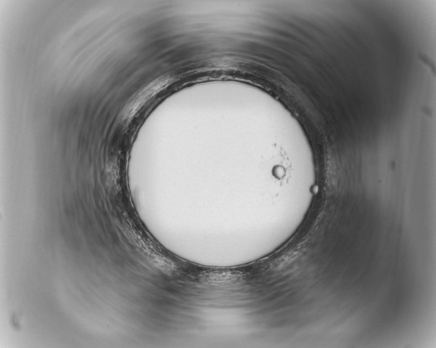 X0000103930826200810031257