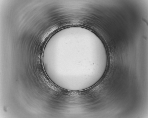 X0000103930827200810031257