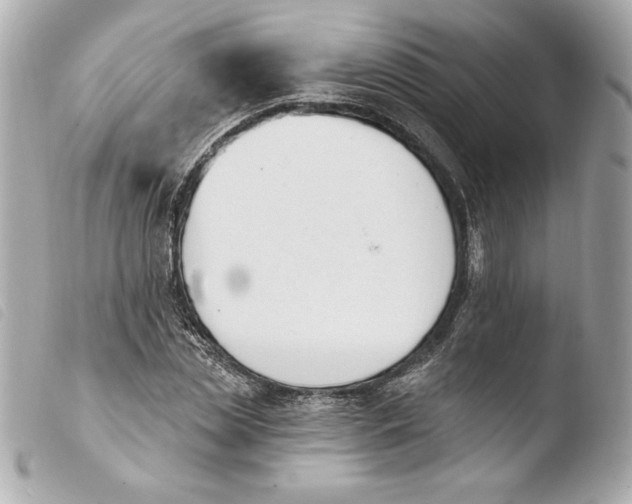 X0000103930829200810031257