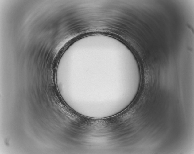 X0000103930830200810031257