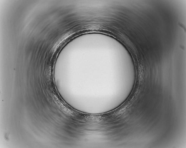 X0000103930831200810031257