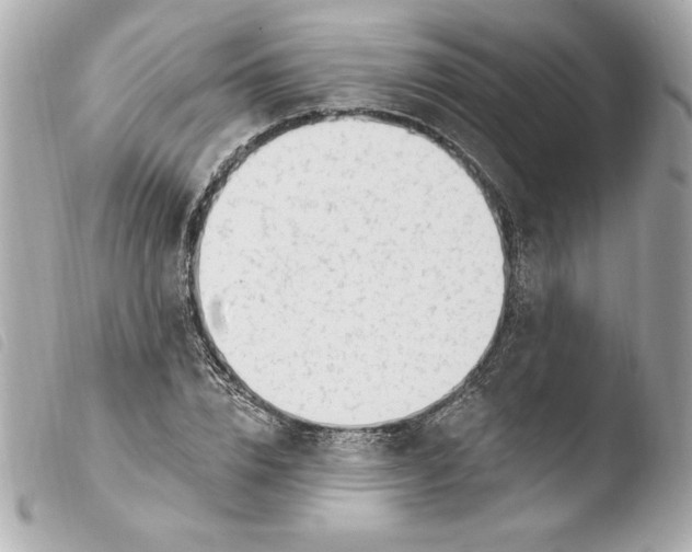 X0000103930832200810031257