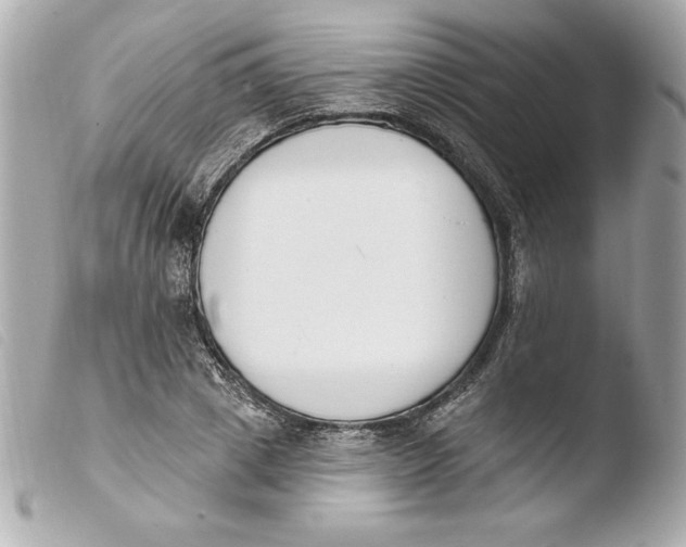 X0000103930833200810031257