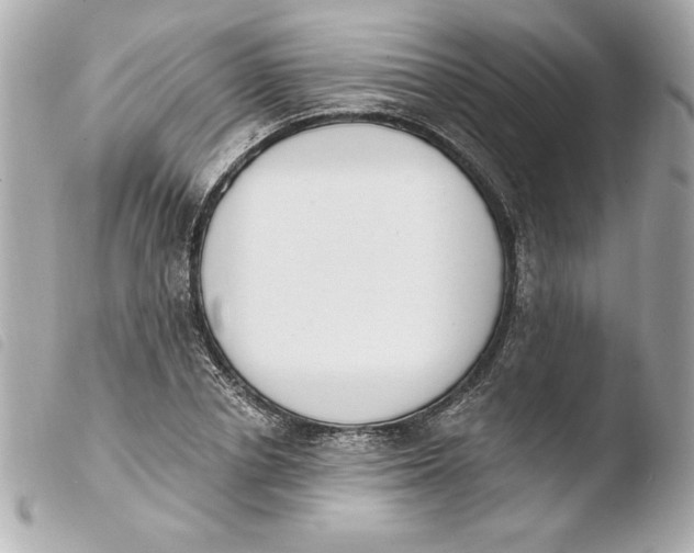 X0000103930834200810031257