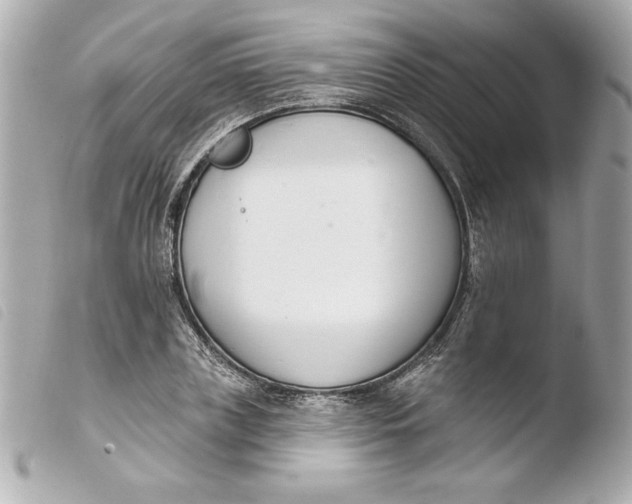 X0000103930835200810031257