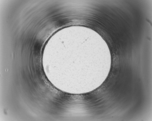 X0000103930836200810031257