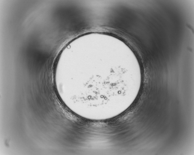 X0000103930837200810031257