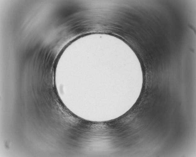 X0000103930838200810031257