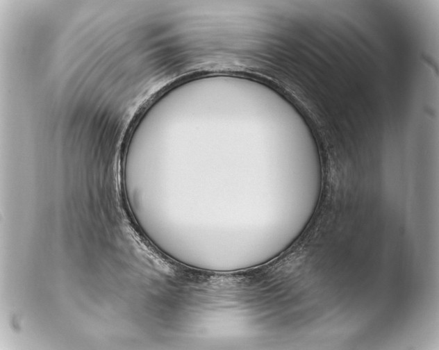 X0000103930840200810031257