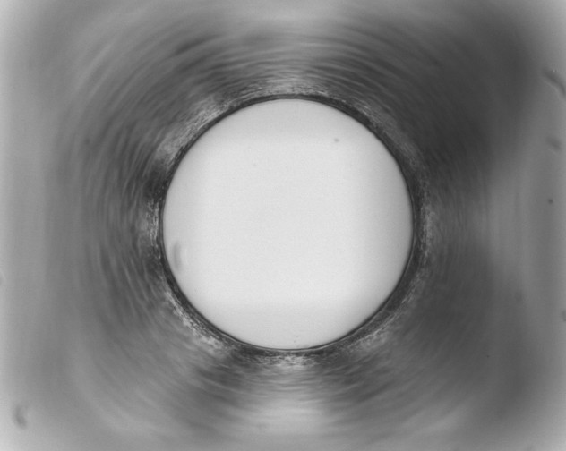 X0000103930841200810031257