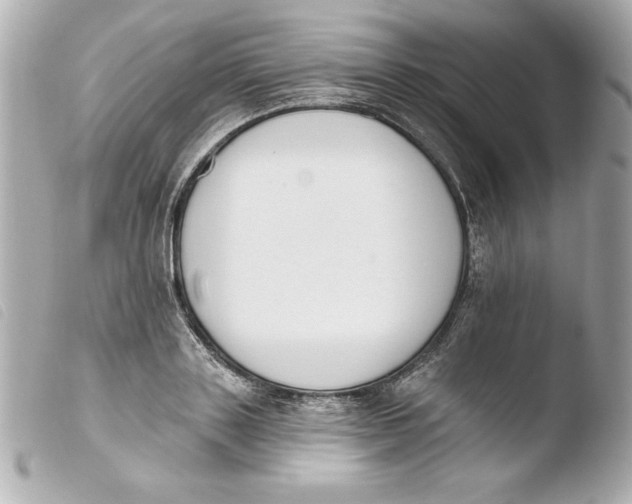 X0000103930843200810031257