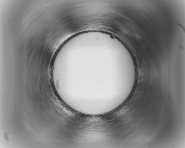X0000103930846200810031257