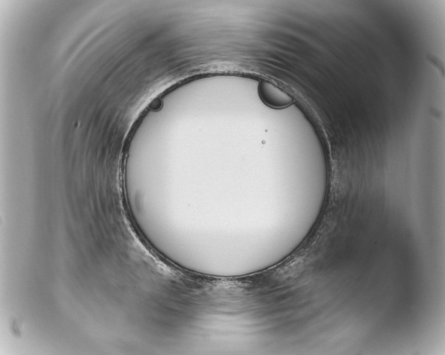 X0000103930847200810031257