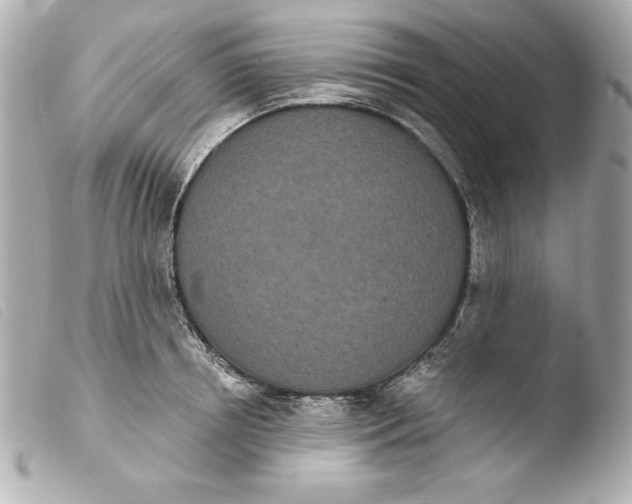 X0000103930850200810031257