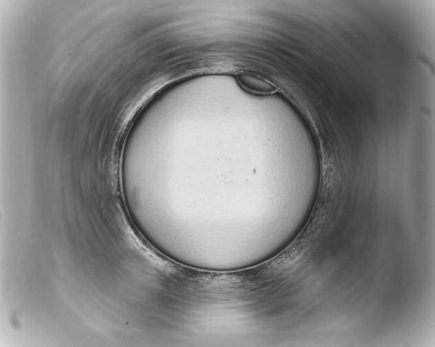 X0000103930851200810031257