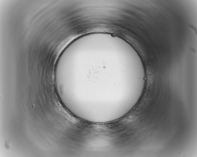 X0000103930852200810031257