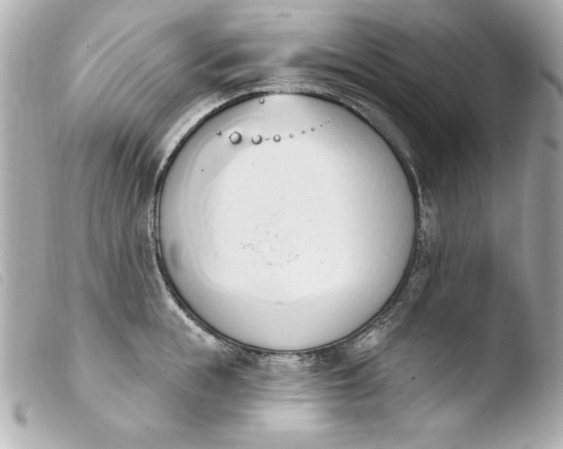 X0000103930855200810031257