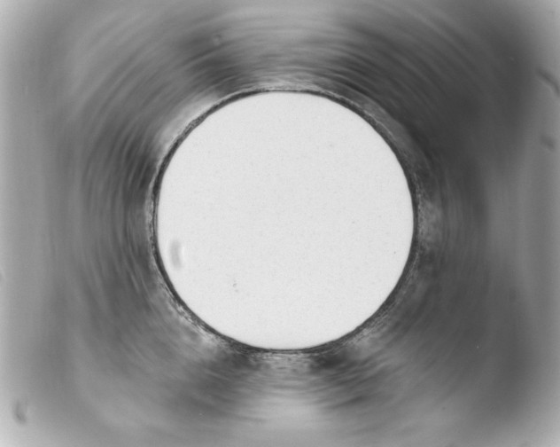 X0000103930856200810031257