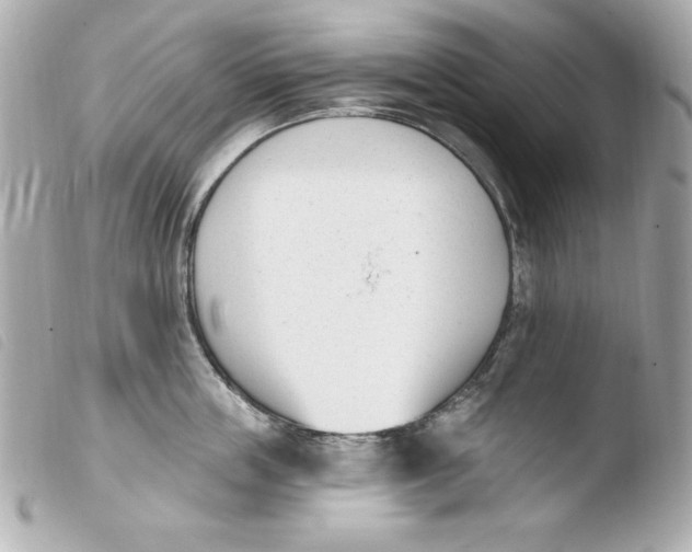 X0000103930859200810031257