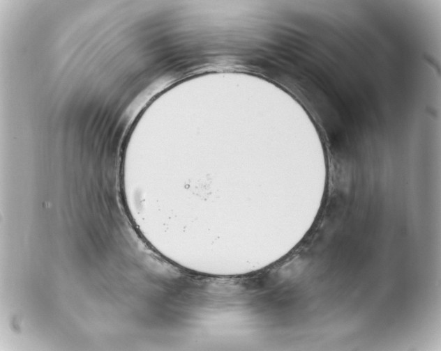 X0000103930861200810031257