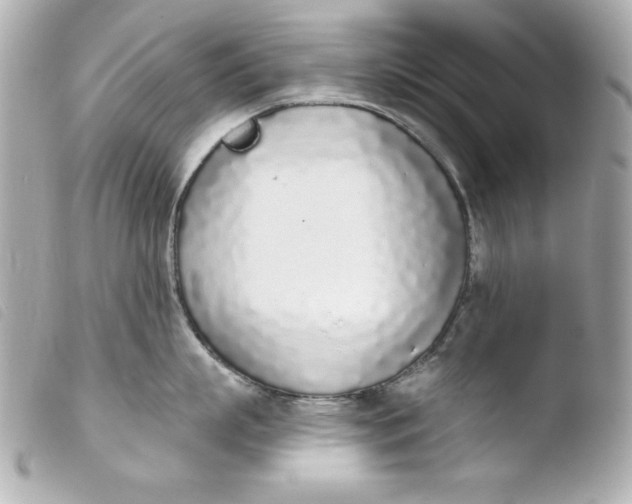 X0000103930863200810031257