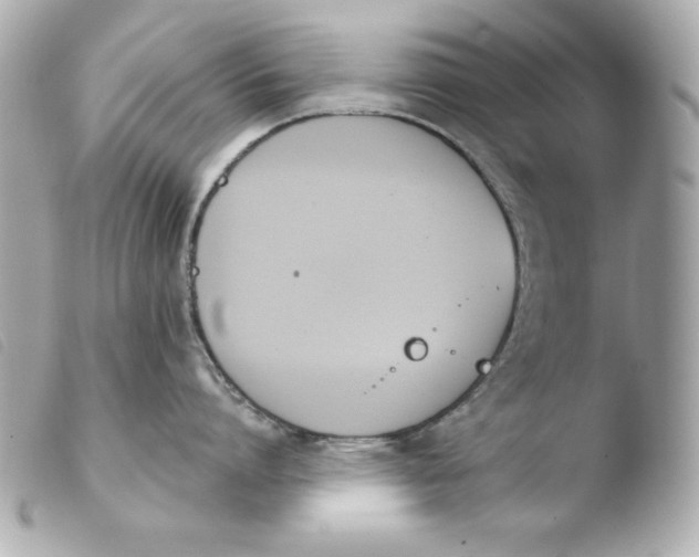 X0000103930864200810031257