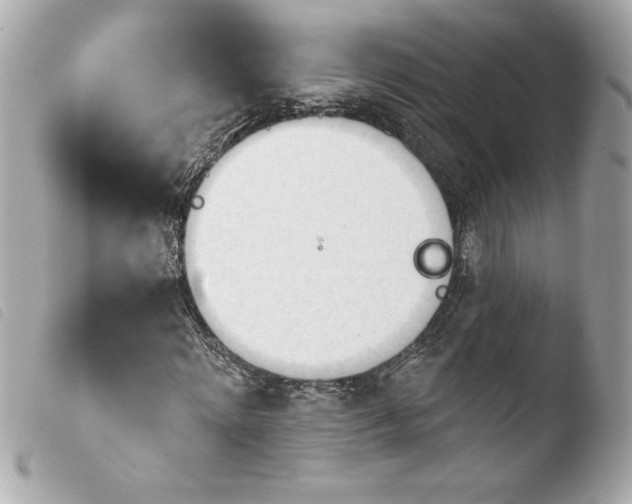 X0000103930868200810031256