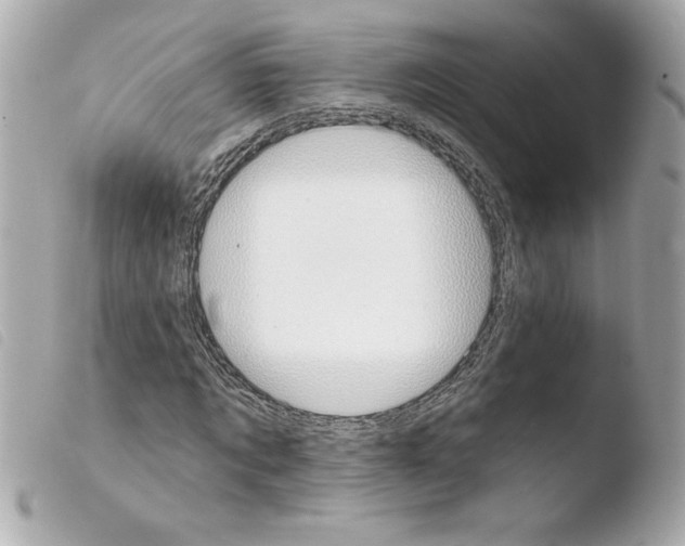 X0000103930869200810031256