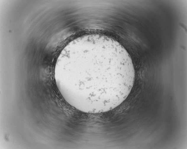 X0000103930870200810031256