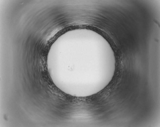X0000103930871200810031256
