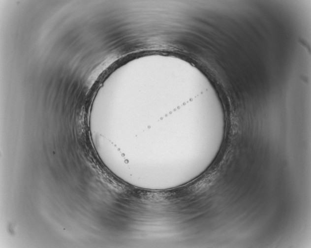 X0000103930875200810031256