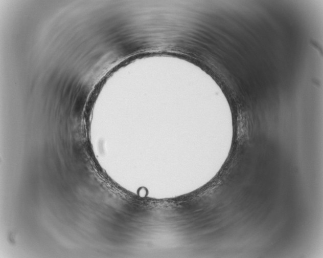X0000103930876200810031256
