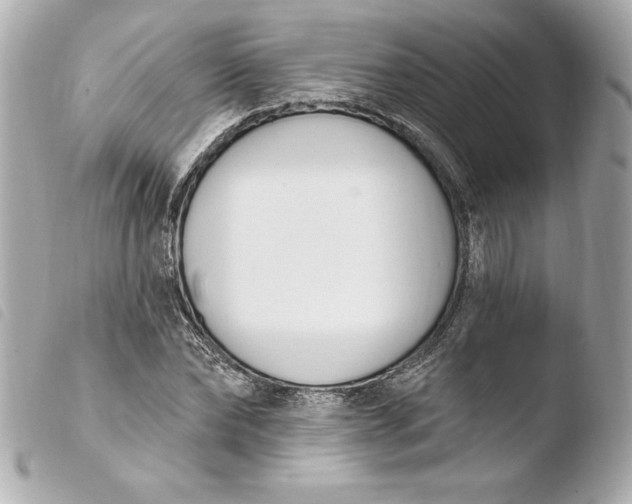 X0000103930878200810031256
