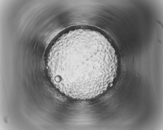 X0000103930879200810031256