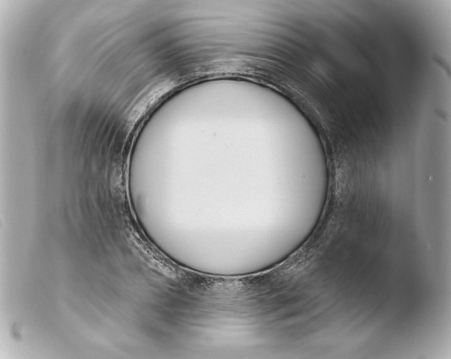 X0000103930882200810031256