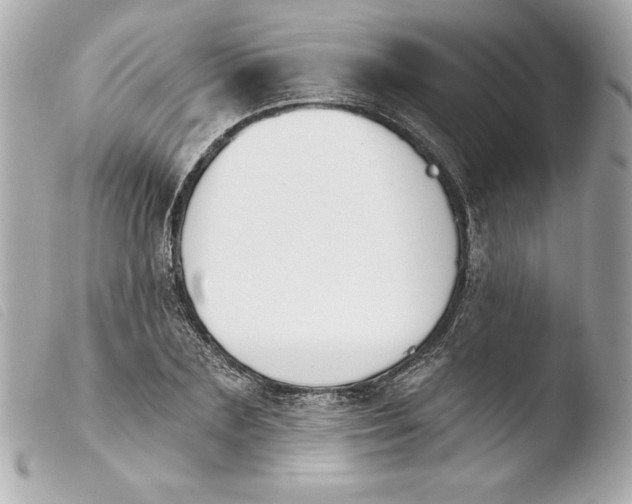 X0000103930883200810031256