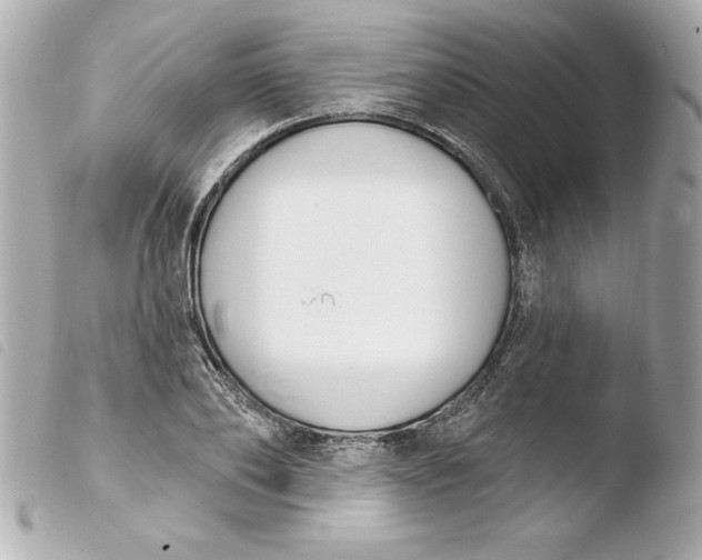 X0000103930886200810031256