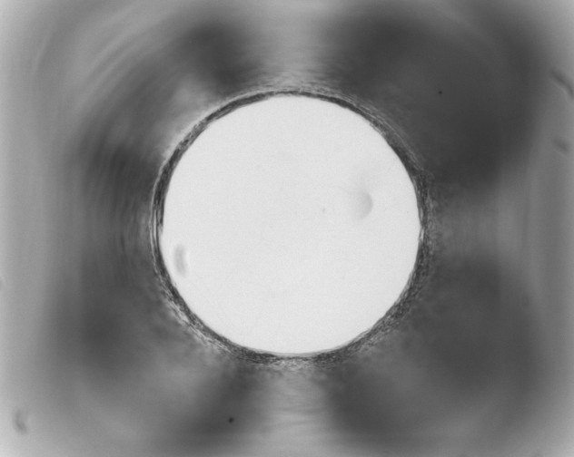 X0000103930888200810031256