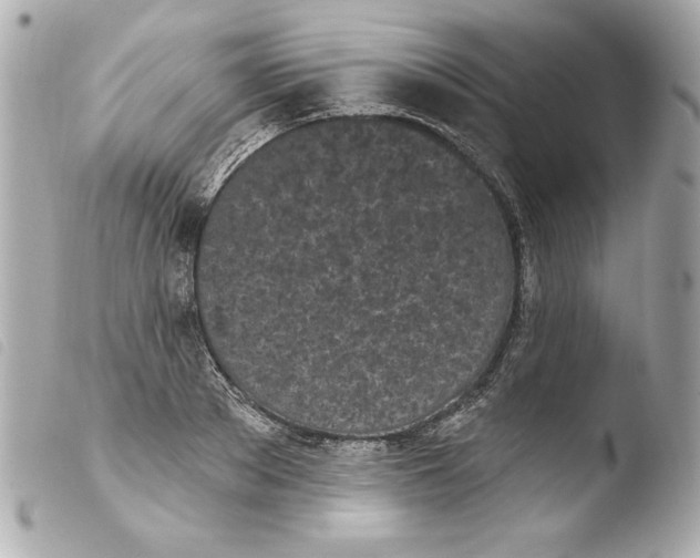 X0000103930889200810031256