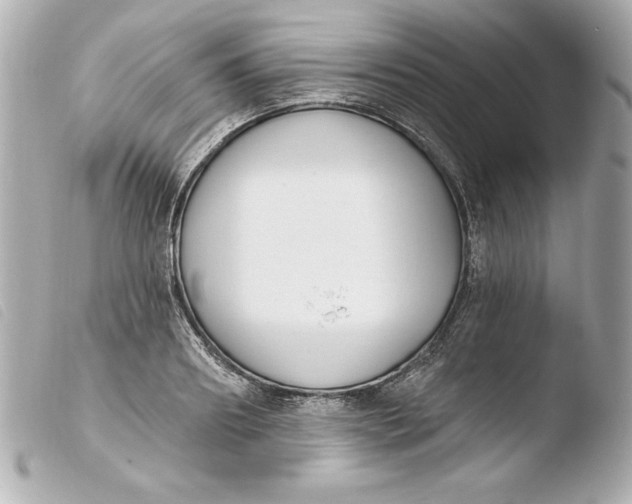 X0000103930890200810031256