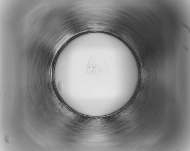 X0000103930891200810031256