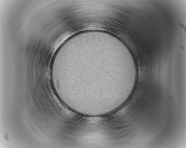 X0000103930893200810031256