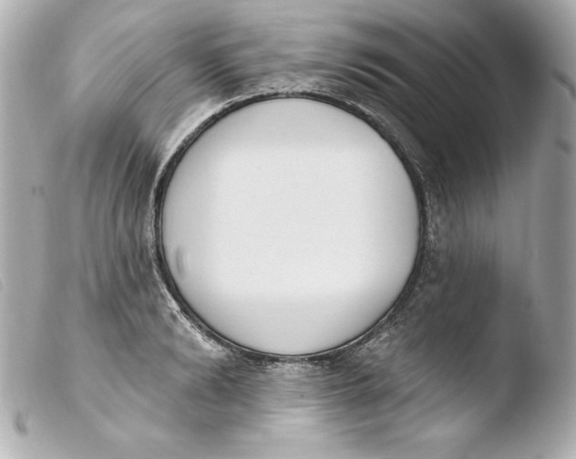 X0000103930894200810031256