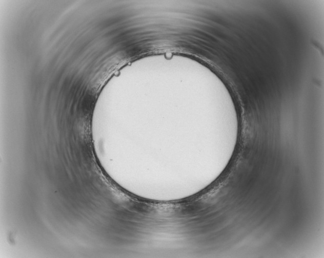 X0000103930897200810031256