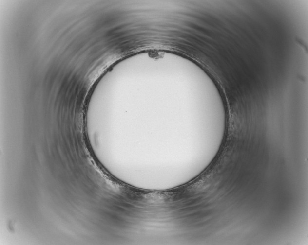 X0000103930898200810031256